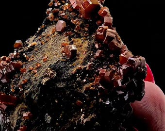 Goethite Coated Barite with Vanadinite Mineral Specimen | Morocco Red Hexagonal Crystals