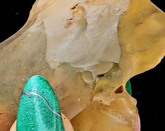 Libyan Desert Glass from Egypt Tektite Space Rock
