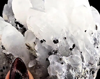 Rainbow Pyrite On Dragon Quartz From Borieva Mine, Bulgaria