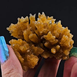 Golden Dogtooth Calcite – Saturated Citrus Burst with Glassy Terminations