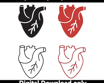 Heart SVG, Anatomy Icon Set, Cardiac Vector, Medical Clipart, Cardiology EPS AI, Digital Download