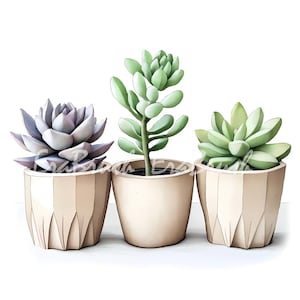 May include: Three potted succulents in beige geometric pots. The succulents are various shades of green and purple. The pots are arranged in a row against a white background. The image is a watercolor style illustration.