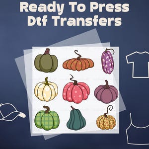 Cute Pumpkin Fall DTF Transfer, Colorful Pumpkin Ready to Press, Spooky Season DTF, Fall Iron On Transfer, Spooky Pumpkin Dtf Heat Press