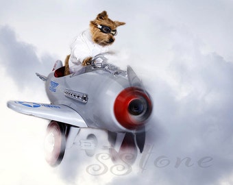 Norwich Terrier photo, Dog Flies Airplane, Dog and Clouds, digital photo, wall art, pet lovers art, home decor, humor