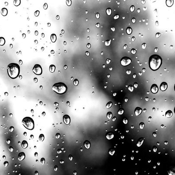 Shadow and Rain, black and white photo, water drops,  wall art, raindrops on glass, home decor, spring, water art, office art, bathroom art