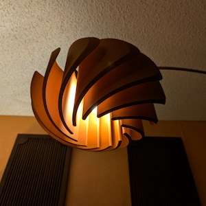Spiral Ellipse Light Fixture - Large