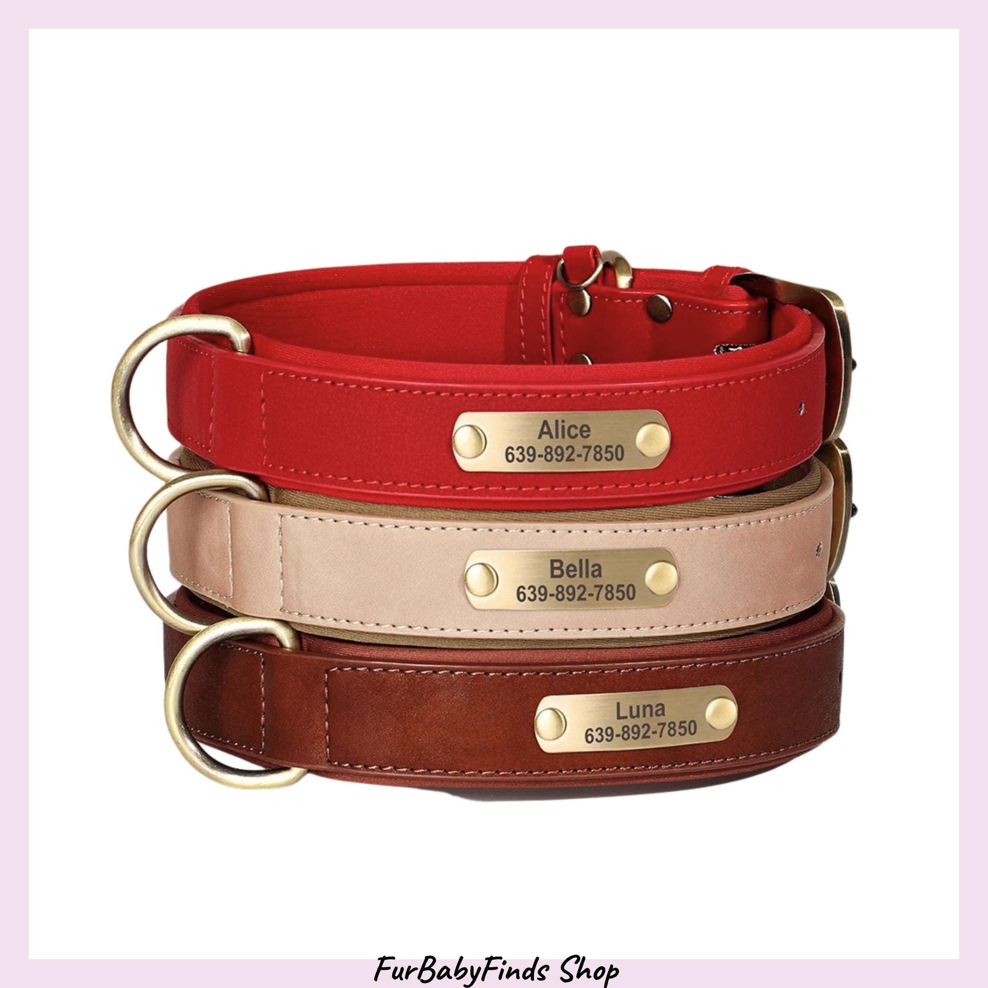 Hundemarke Mit Gravur Edelstahl Personalisiertes PU-Leder Hundehalsband Mit  Gravur  Weich Gepolstert & Verstellbar Fr Chihuahua, Frenchie & Co.