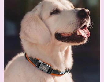 Reflective Personalized Dog Collar, Soft Padded Adjustable ID Collar for Small to Large Dogs, Name Engrave, Stylish Collar, Cute Puppy Gift
