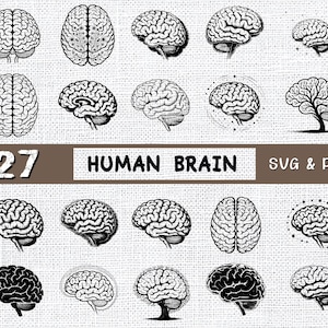 27 Cerveau humain SVG & PNG Bundle, clipart anatomique pour la science, la santé mentale, la psychologie et des projets médicaux