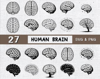 Gehirn Anatomie SVG & PNG Bundle: Medizinisch Clipart (digitaler Download)