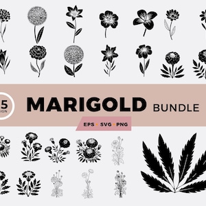 25 Marigold Bundle - SVG, PNG, EPS Designs for Scrapbooking, Crafts, & Digital Projects