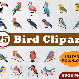 25 Bird SVG PNG Bundle | Cute Colorful Songbirds & Tropical Clipart | Cricut Cut Files for Stickers, Shirts, Prints, Sublimation
