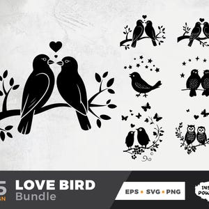 Paquete SVG PNG de pájaros de amor / Clipart de pájaros románticos para Cricut, bodas, San Valentín, diseño de pareja, silueta, EPS Descarga instantánea