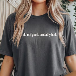 Ok. Not Good. Probably bad. Quote Shirt | Hockey Romance Tee | Sports Romance Reader Gift | Spicy Book Club Comfort Colors Tee