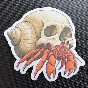 May include: A red hermit crab is holding onto a white skull with a brown seashell. The skull has eye sockets and a mouth.