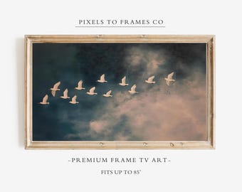 Vårbild på TV, vita fåglars flykt, fridfullt minimalistiskt landskap, lugn och stämningsfull väggdekor, digital nedladdning Samsung, naturskärmsläckare