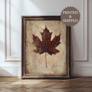 May include: A framed print featuring a detailed image of a maple leaf in shades of brown and red. The leaf is centered on a textured, off-white background, encased in a dark brown wooden frame. The print is displayed against a white wall and wooden floor.