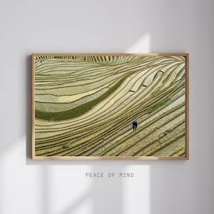 Arrozales verdes, arte mural natural, fotografía artística, paisaje horizontal, impresión de naturaleza serena y pacífica, decoración del hogar, con o sin marco