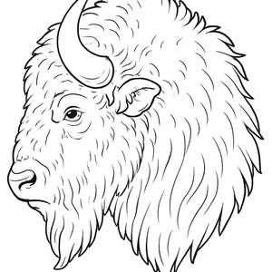 100 Wolves, Bears and Bison Coloring Pages, Beautiful and realistic coloring pages for all ages!