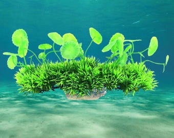 May include: Green plastic aquarium plant with a base that looks like a rock. The plant has a cluster of leaves at the top and is surrounded by green grass-like foliage.