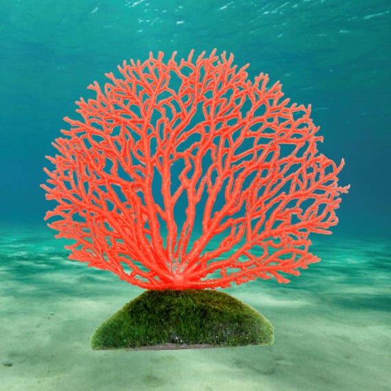 シリコン製水槽用サンゴ、海底植物装飾 - Etsy 日本