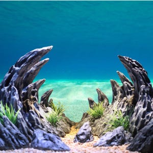 Puede incluir: Decoración de acuario que representa una escena submarina naturalista. La escena incluye formaciones rocosas grises texturizadas con bordes puntiagudos, plantas verdes y un fondo arenoso. El fondo es un degradado de azul, simulando agua.