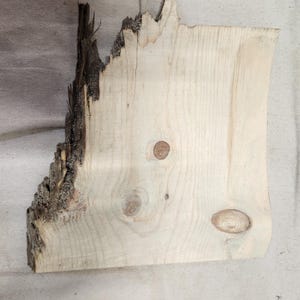 Pine Board Unique Live Edge Splintered