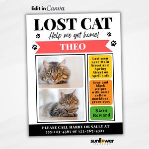 Editable Lost Dog Flyer Template, Printable Missing Cat Poster, Downloadable and Editable Sign