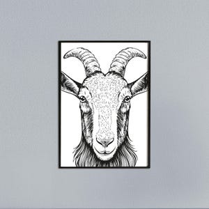 Tierplakat Ziege // Schwarzweiß // Wandkunst // Illustration // Scribble