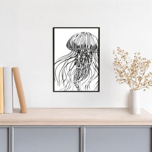 Tierplakat Qualle // Schwarzweiß // Wandkunst // Illustration // Scribble