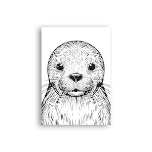 Tierplakat Robbe // Schwarzweiß // Wandkunst // Illustration // Scribble