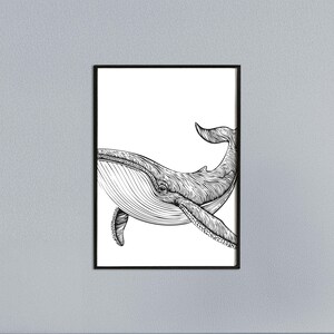Tierplakat Wal // Schwarzweiß // Wandkunst // Illustration // Scribble
