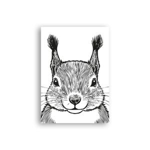 Tierplakat Eichhörnchen // Schwarzweiß // Wandkunst // Illustration // Scribble