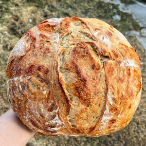 Sourdough Starters, Dehydrated Starter, Sourdough Dried Starter, Super Active! Instruction includes