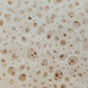 2 Pack Sourdough Starter - SUPER ACTIVE! Dry starter with instructions.  Dehydrated Starter, Sourdough Dried Starter, Instruction includes