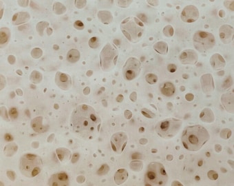 Sourdough Starters, Dehydrated Starter, Sourdough Dried Starter, Super Active! Instruction includes