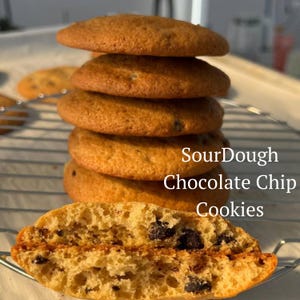 Sourdough  Chocolate Chip Cookie Recipe | Classic Homemade Cookie Recipes | Dessert Recipes | Homemade Cookie Recipe | digital product