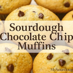 Sourdough Chocolate Chip Muffins Recipe PDF | Easy Discard Muffin Guide | Bakery Style | Digital Download