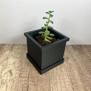 May include: A small, square, black planter with a succulent plant. The planter has a slatted design and sits on a matching tray. The succulent has green leaves and is planted in dark soil. The background is a plain white wall.