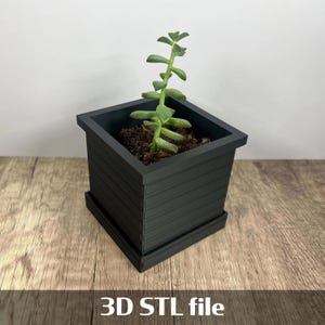 Op de afbeelding: Een matzwarte vierkante plantenbak met horizontale ribbeldetails en een bijpassende vierkante schotel. Een groene vetplant met dikke, ronde bladeren groeit uit de donkere aarde in de pot. De tekst 3D STL file is zichtbaar.