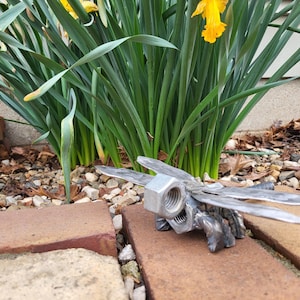 Daring Dragonfly