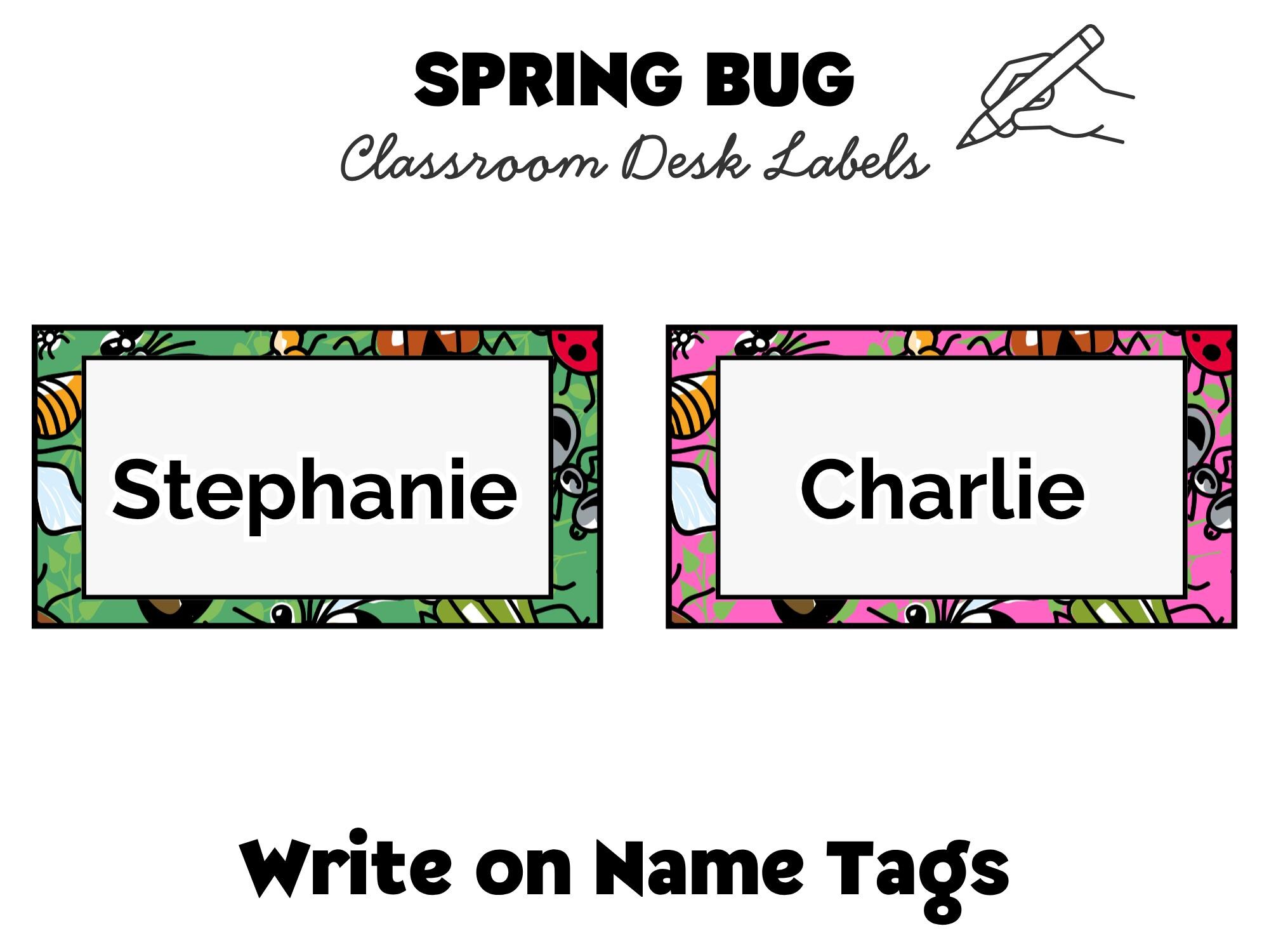 Spring Name Tags | Classroom Desk Plates & Cubby Labels | Bug Theme - Etsy