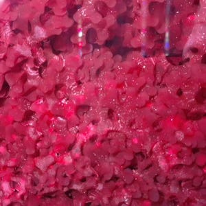 Red Macroalgae - Dragon Breath (Marine Seaweed) - Canada Only