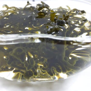 May include: A glass bowl containing dark green seaweed in water. The seaweed is textured and partially visible through the clear liquid. The bowl is on a white surface. The seaweed is likely measured in grams.