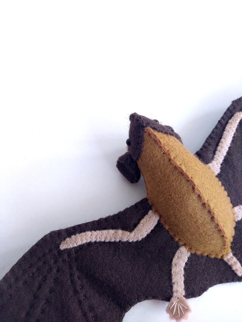 Felt Bat- PDF Tutorial and Pattern Download- Western Long-eared Myotis ...