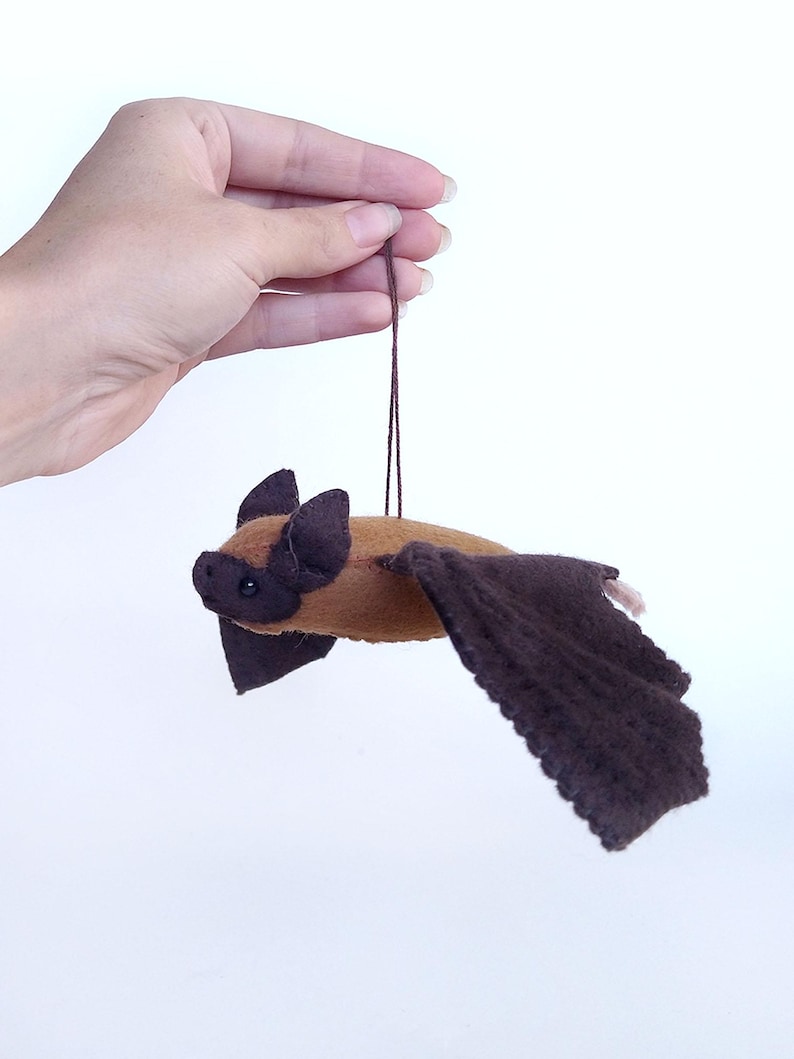 Felt Bat- PDF Tutorial and Pattern Download- Western Long-eared Myotis ...