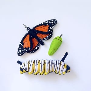 Puede incluir: Una mariposa monarca de fieltro con alas naranjas y negras y puntos blancos, una crisálida verde y una oruga con rayas amarillas, negras y blancas. Los insectos de fieltro hechos a mano están dispuestos sobre un fondo blanco.
