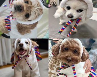 Korean Traditional Saekdong Fleece Pet Earmuff – Hanbok Style