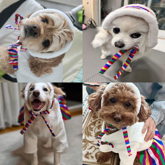 Korean Traditional Saekdong Fleece Pet Earmuff – Hanbok Style