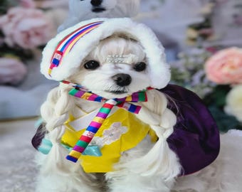 Korean Traditional Saekdong Fleece Pet Earmuff – Hanbok Style Winter Hat for Dogs & Cats